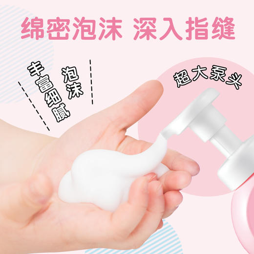 LION狮王 趣净泡沫抑菌洗手液 250ml*1瓶+200ml*2袋 商品图2