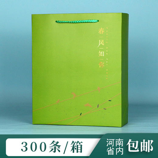 春风如你【通版 • 一斤装】1元一个/300个一箱 商品图0