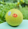 金丝柚金标特级果 |碧绿绿的，标致浑圆，好美好高级🌹🌹果肉贴心的柔嫩，柔滑有弹性，释水后沁人心脾的甜，吃上就一发不可收拾，最爱的柚子～♥️ 商品缩略图0