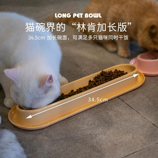 长条猫碗多猫喂食碗水碗40*25*4.5cm 小奶猫共用 底部防滑 商品图2