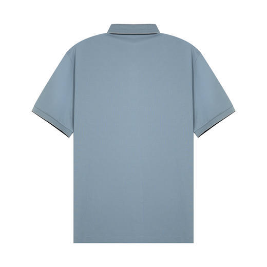 【秒杀专属】HX 夏季翻领短袖T恤桑蚕丝Y102320303101/02POLO杉 商品图4