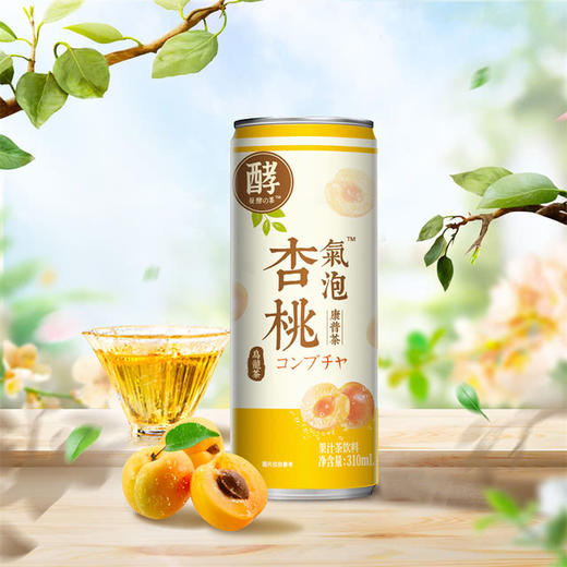 MM 山姆 DRINKSBA杏桃气泡康普茶 310ml*20 商品图1