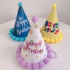 生日帽/数字蜡烛(备注所需数字) 商品缩略图0