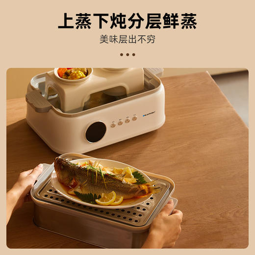 蓝宝不锈钢电蒸锅蒸炖锅多功能家用隔水炖盅全自动预约蒸汽锅 心选到家 商品图2