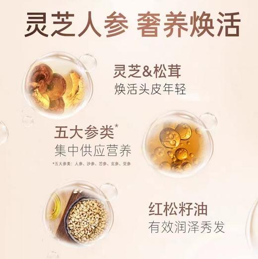 韩国黑吕臻参焕活御时昇机洗发水 商品图5