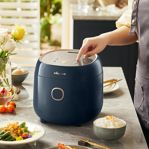 小熊电饭煲 商品图0