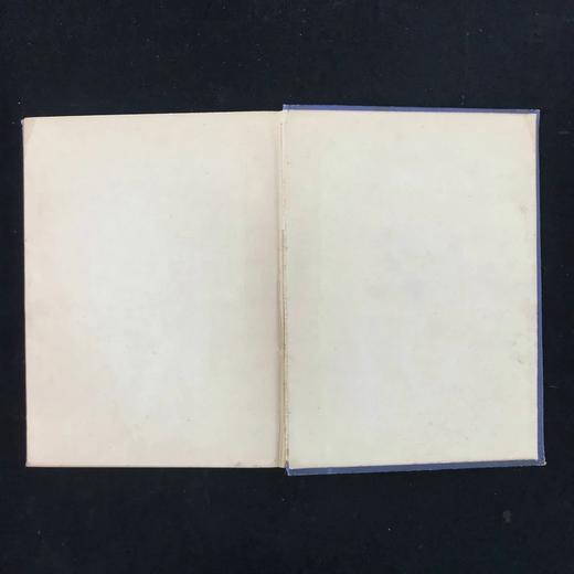 1894年 家庭箴言杂志 约百幅插图 漆布精装16开 商品图2