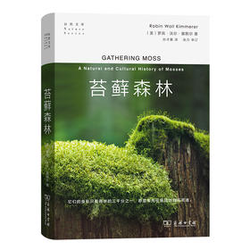 苔藓森林