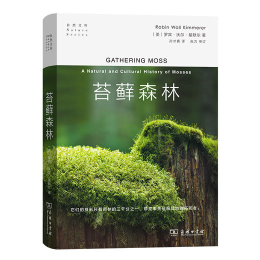 苔藓森林 商品图0