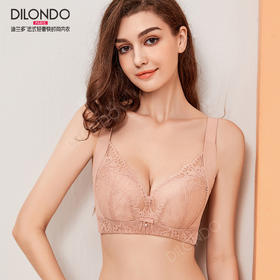 迪兰多新品小胸聚拢显大上托塑形收副乳调整文胸
