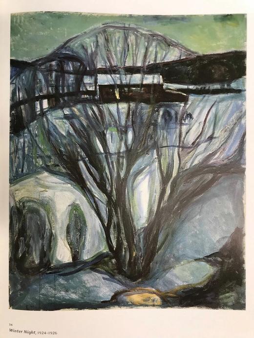 呐喊之后：蒙克晚期绘画图集 约百幅插图 精装大16开 商品图12