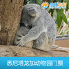 悉尼塔龙加动物园门票 商品缩略图1