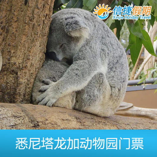 悉尼塔龙加动物园门票 商品图1