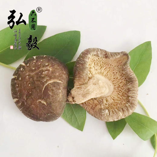 【弘毅生态农场】香菇100克/份 三份包邮 商品图1