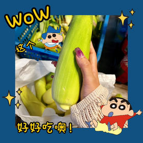 阿林有机白糯玉米12枚