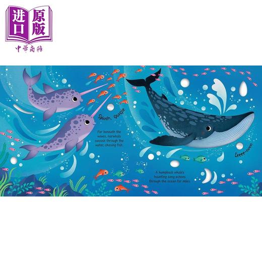 【中商原版】发声书:北极动物Arctic Animals Sound Book英文原版 儿童纸板书 科学自然绘本动物知识图画书精品有声书亲子童书 商品图1