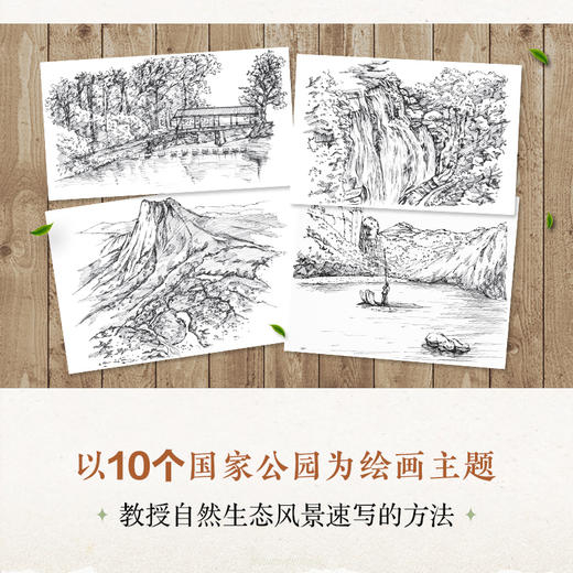 山河绘 钢笔速写自然生态风景 钢笔画手绘表现技法钢笔速写临摹画册书钢笔画风景素描速写技法手绘线稿临摹本 商品图2