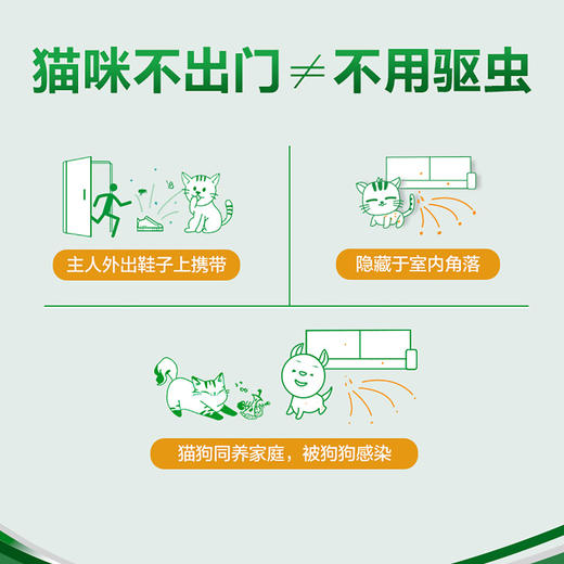 福来恩猫咪体外驱虫药滴剂杀虫药去跳蚤除蜱虫 商品图2