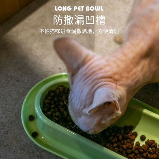 长条猫碗多猫喂食碗水碗40*25*4.5cm 小奶猫共用 底部防滑 商品图4