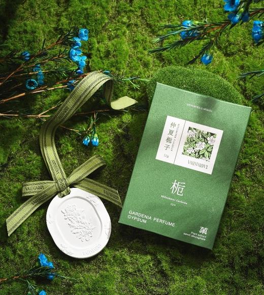 【菓凯花香石膏香挂】悬挂式香水，6种香型 商品图0