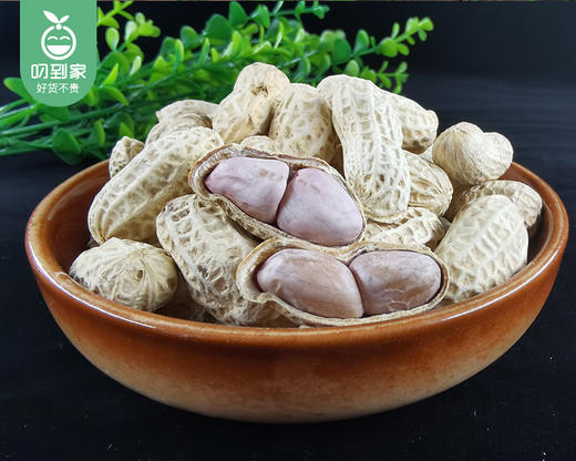 姥家来小白砂水煮花生（原味）/1袋（约1000g）生产日期：26年4月 商品图2