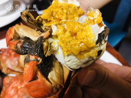 六月黄大闸蟹 壳薄 肉满 黃满 鲜活 饕餮行家钦点 米其林级别 高邮湖跑鲜世家传人亲自捕捞和品控|百里食 商品图7