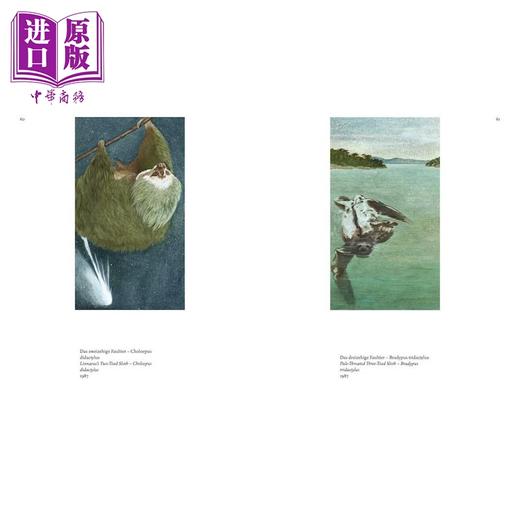 【中商原版】Anita Albus (Bilingual edition):The Art of Seeing 进口艺术 安妮塔·阿布斯：观看的艺术双语版 商品图2