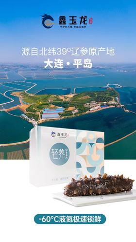 B1F鑫玉龙轻养单冻即食海参    500g