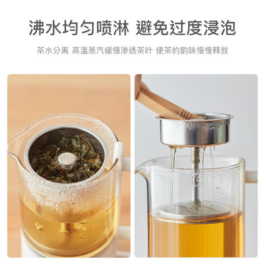 欧莱克（olayks） 煮茶器 喷淋式黑茶白茶煮茶壶家用自动蒸汽养生壶办公室小型 陶白 商品图2