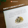 《獾的礼物》：一封温暖的信，一份永恒的友谊。绘本【3-6岁】 商品缩略图2