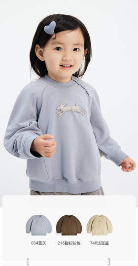 jnby  23年秋款  圆领套头卫衣  YN7411530