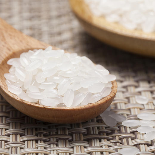 金龙鱼 长粒香大米 东北大米 臻选长粒香大米2.5kg 商品图3