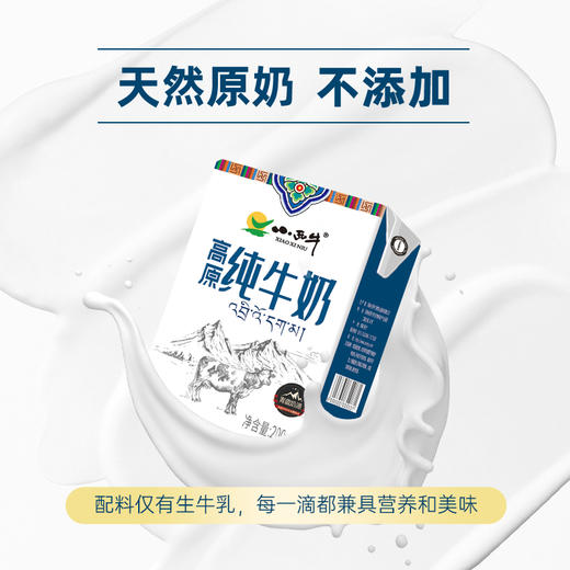 【光明&小西牛】青海纯牛奶青藏高原全脂纯牛奶整箱儿童学生早餐奶200ml*20盒 商品图3
