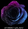 厄瓜多尔单头玫瑰 | 闪耀星河 STARRY GALAXY 商品缩略图1