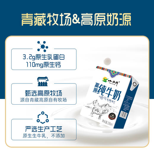 【光明&小西牛】青海纯牛奶青藏高原全脂纯牛奶整箱儿童学生早餐奶200ml*20盒 商品图1