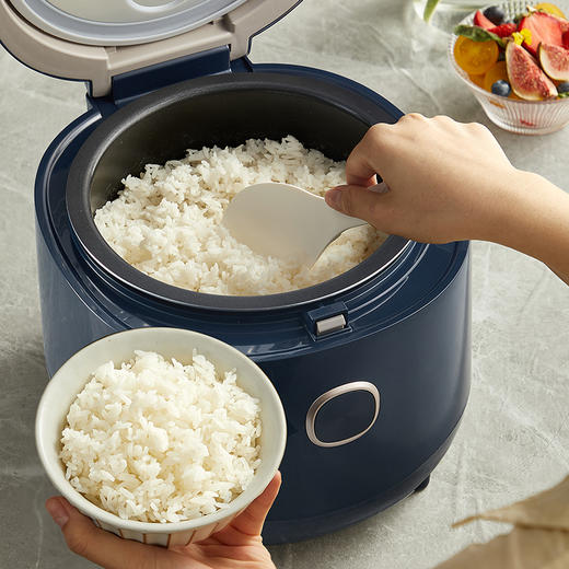 小熊电饭煲 商品图1