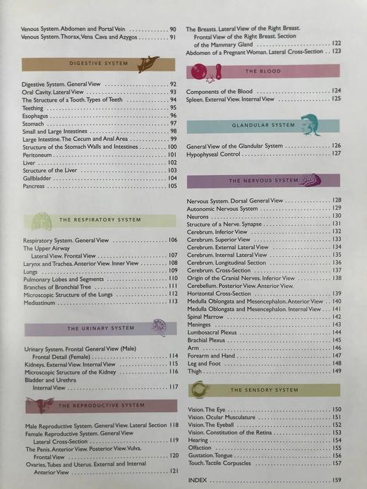人体解剖图集 数百幅彩色插图 精装大16开 商品图6