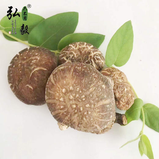 【弘毅生态农场】香菇100克/份 三份包邮 商品图2