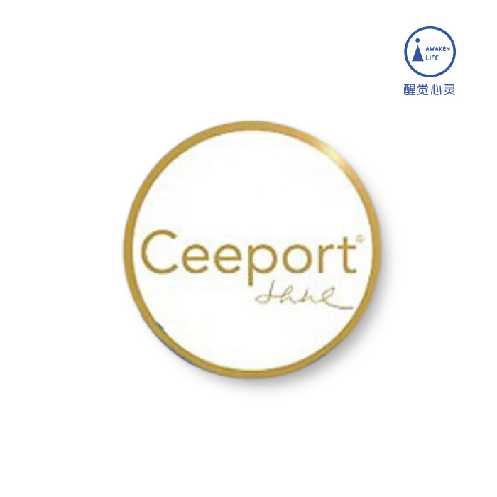 现货 | 大贴纸修蓝团队清理工具正品 ceeport 大贴纸强大清理一枚装