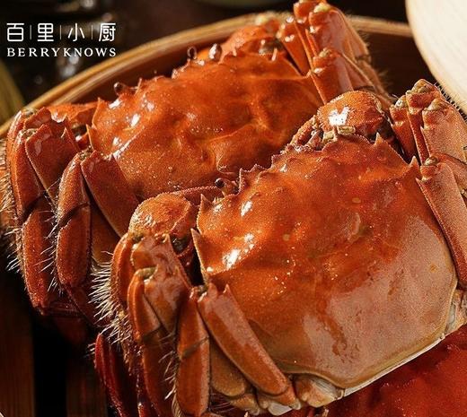 六月黄大闸蟹 壳薄 肉满 黃满 鲜活 饕餮行家钦点 米其林级别 高邮湖跑鲜世家传人亲自捕捞和品控|百里食 商品图8