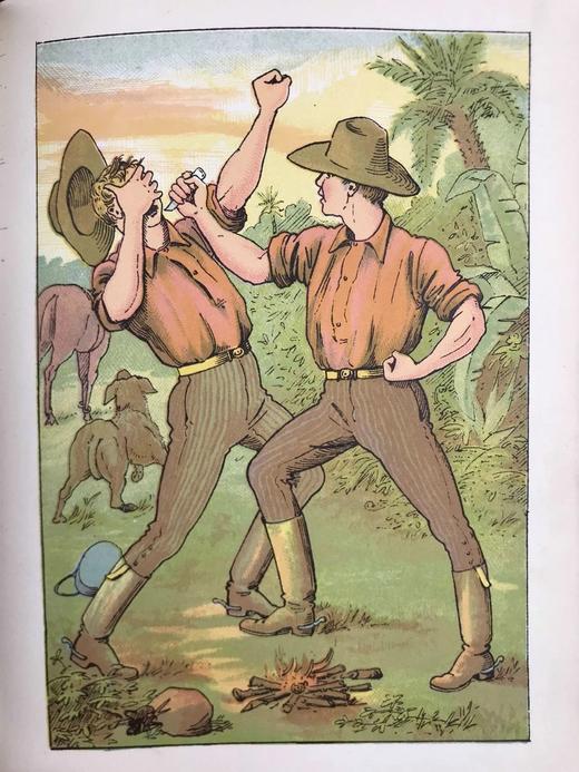 1887年 彼得·帕利的年刊 16幅彩色插图 漆布精装32开 商品图12