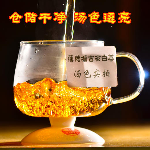【舌底鸣泉 香入肺腑】2018年云茶盟主老掌柜自制，天花板级别老白茶！一款足矣打破认知的薄荷塘高杆古树白茶！五年陈 纯晾干！ 商品图3