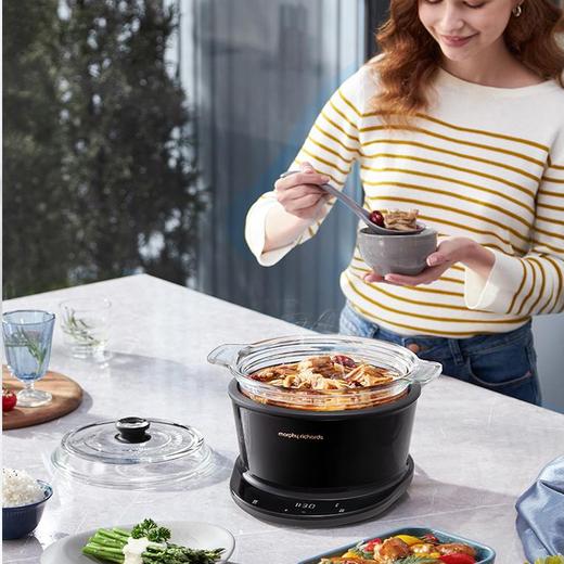 摩飞多功能养生锅煲汤锅家用电炖锅 商品图2