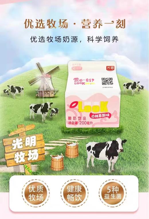 光明酸奶白桃慕斯味200ml /盒 商品图3