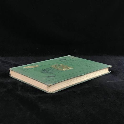 约19世纪后期 卡塞尔鸟类图鉴（卷2） 10幅彩色112幅黑白插图 漆布精装16开 商品图1