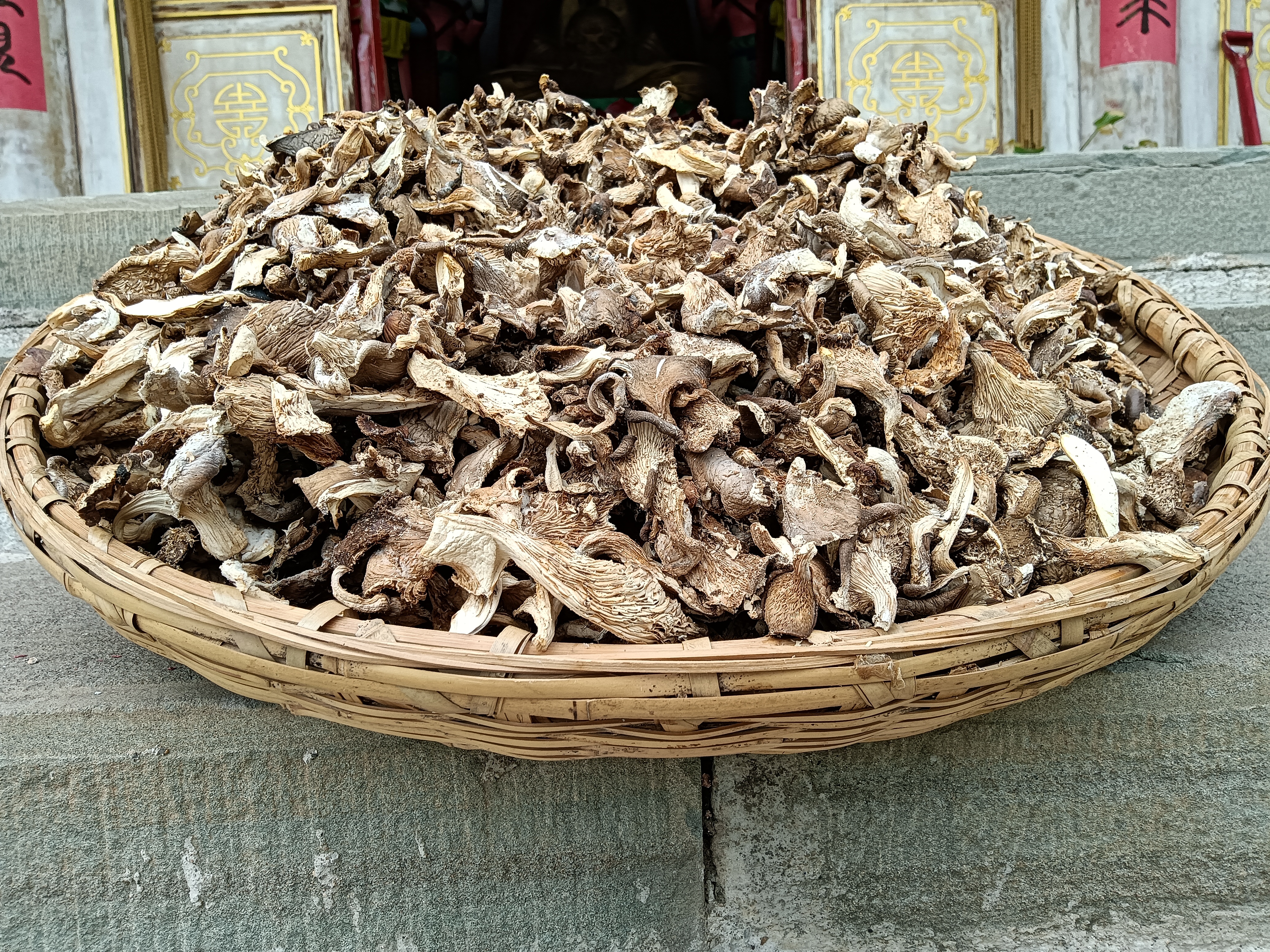 【朝阳双林寺】双林寺师父晾晒蘑菇干，无农药化肥，东北深山鲜蘑干，约10斤鲜蘑晒1斤，干菇每斤58元，欢迎品尝哦😀