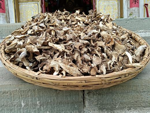 【朝阳双林寺】双林寺师父晾晒蘑菇干，无农药化肥，东北深山鲜蘑干，约10斤鲜蘑晒1斤，干菇每斤58元，欢迎品尝哦😀 商品图0