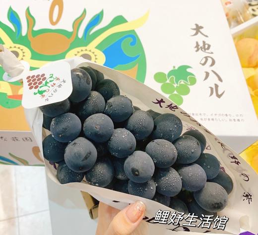 大地黑提 |进口水果 商品图0