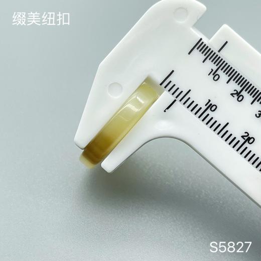 S5827(整包购买) 商品图4