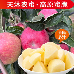 【新品】天沐农蜜·高原蜜脆红露苹果